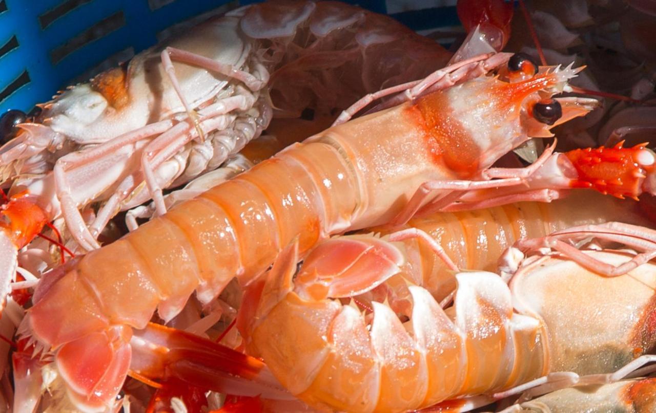 La Casita Del Pescador Βίλα Caleta De Velez Εξωτερικό φωτογραφία